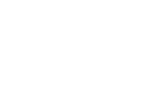 Pike Corporation